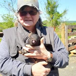 Meet your Posher, Barbara